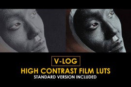 V-Log High Contrast and Standard Color LUTs 51303345