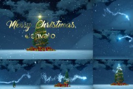 Christmas Wish 29560759