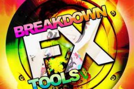 Delectable Records Breakdown FX Tools WAV-AUDIOSTRiKE