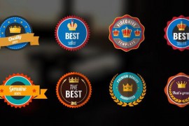 8 Badges 47538102
