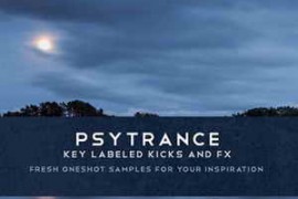 Jksound Psytrance Kicks and FX WAV-MAGNETRiXX