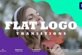 Flat Logo Transitions 52072397