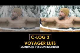 C-Log3 Professional Filmmaker and Standard LUTs 51222986