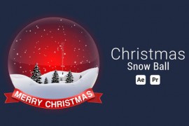 Christmas Snow Globe 49553550