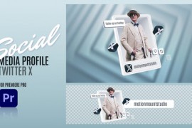 Social Media Profile Twitter X - Premiere Pro 48366092