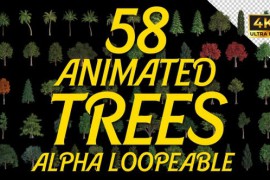 58 Animated Trees Alpha Loop Pack 4K 50596426