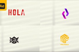 Logo Reveal 45318061