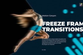 Freeze Frame Transitions. 39545875