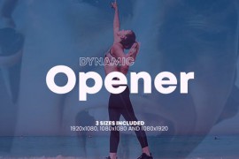 Dynamic Opener 44455899