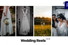 Wedding Reels for Premiere Pro Vol. 09 49376996