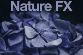 Pro Sound Effects Library - Refocus with Nature FX WAV