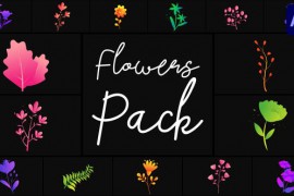 Flowers Pack for After Effects 50689716