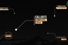 Unique Callout Titles 29904868