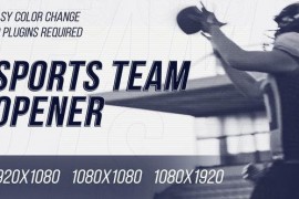 Sport Team Opener 46121026