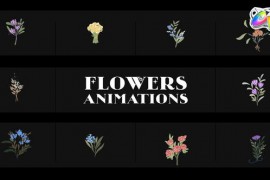 Flowers Falling Into Petals Animations for FCPX 52200681