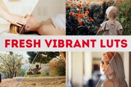 Fresh Vibrant LUTs | DaVinci Resolve 51757811