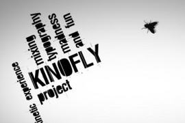 Kinofly 161603
