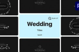 Wedding Titles for Premiere Pro Vol. 01 49000018