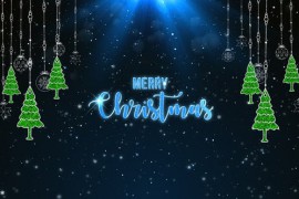 Christmas Wish 42301737