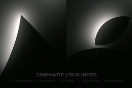 Logo Reveal 50764259