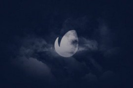 Dark Logo 17885303