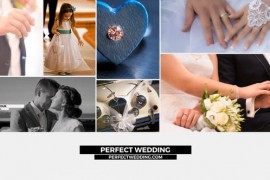 Perfect Wedding Premiere Pro 44407132