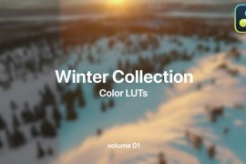Winter LUTs Collection Vol. 01 49983989