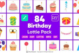 Birthday Kit Lottie Pack 48685351