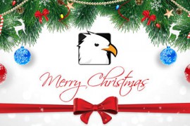 Christmas Logo Reveal 13922817