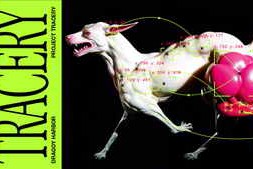 Free Download:Aescripts – Tracery v1.1