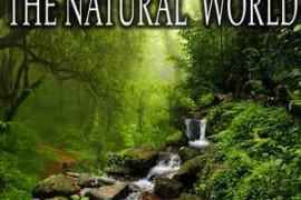 Sound Ideas Sound Effects Of The Natural World FLAC-FANTASTiC