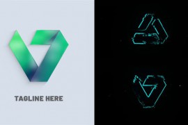 Logo Reveal 2In1 52128075