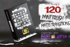 120 Paint Brush Matte Transitions - 4K Pack 22910689