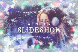 Winter Slideshow 22985974