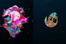 Colorsplash Logo Reveal 18066796