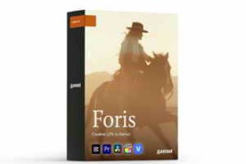 Gamut – Foris