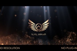 Elegant Logo Intro 51862619