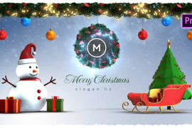 Christmas Winter Logo Reveal 49836113