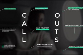 Call Outs | After Effects 43074419