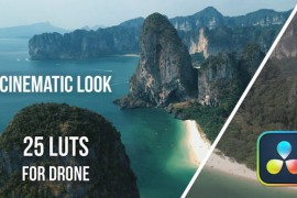Cinematic Look for Drone 52146434