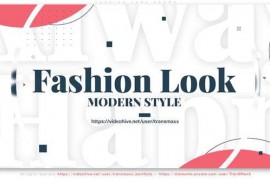 Fashion Look Promo 46049303