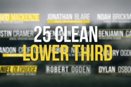 25 Clean Lower Thirds 30565545
