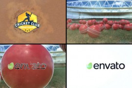 Cricket Logo Reveal 2 50680896