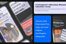 Instagram Stories-Reels for Youtube and Tik Tok Mogrt Pr 47814585