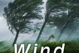 Sound Ideas Wind Sounds FLAC-FANTASTiC