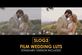 Slog3 Film Wedding and Standard Color LUTs 48789913