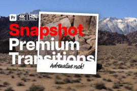 Premium Transitions Snapshot for Premiere Pro 52547583