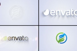 Simple clean Logo Reveal 31117005