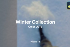 Winter LUTs Collection Vol. 13 49984123