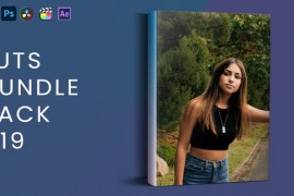 LUTs Bundle Pack V19 43917667
